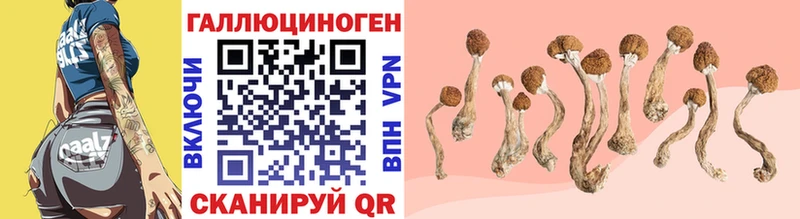 купить наркоту  Славянск-на-Кубани  Псилоцибиновые грибы MAGIC MUSHROOMS 